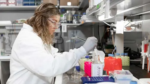 A student in a lab