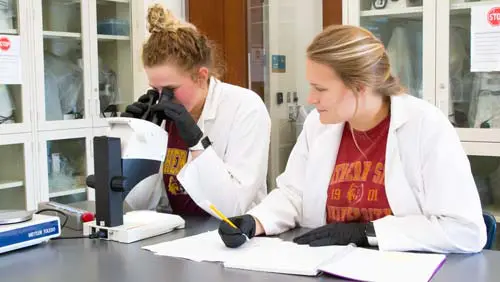 Two students in a lab using a microscope